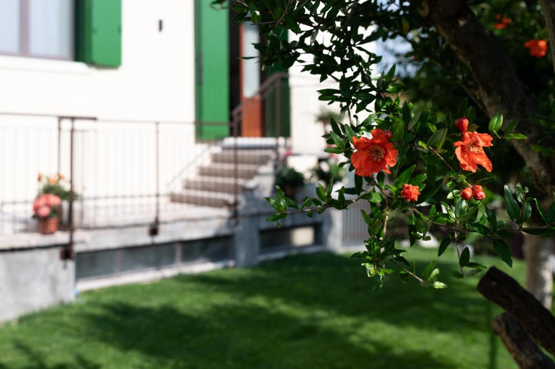 Giardino Del Borgo Appartamento Valpolicella SantʼAmbrogio di Valpolicella Eksteriør bilde